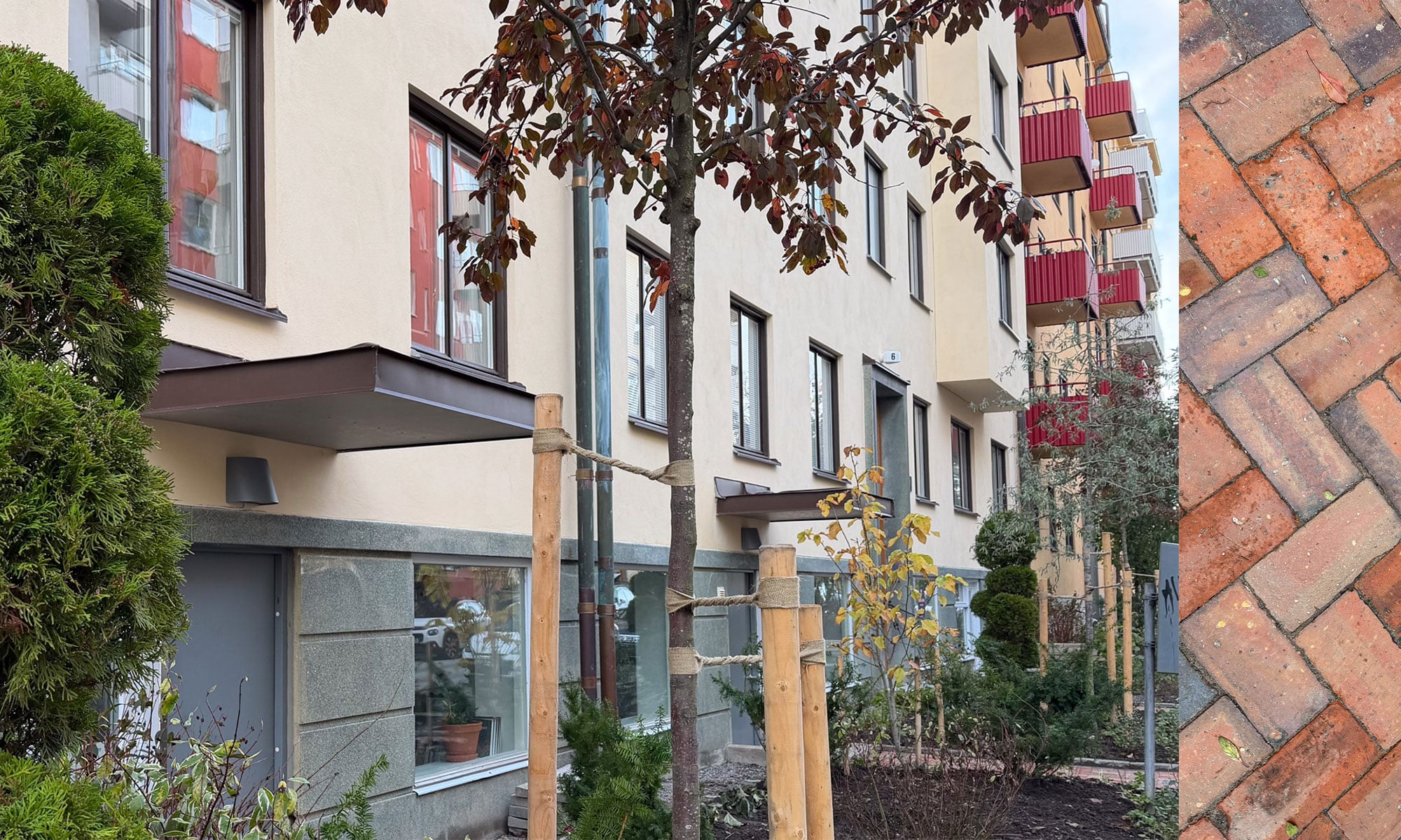 Bild p&aring; v&auml;xter, tr&auml;d och marktegel